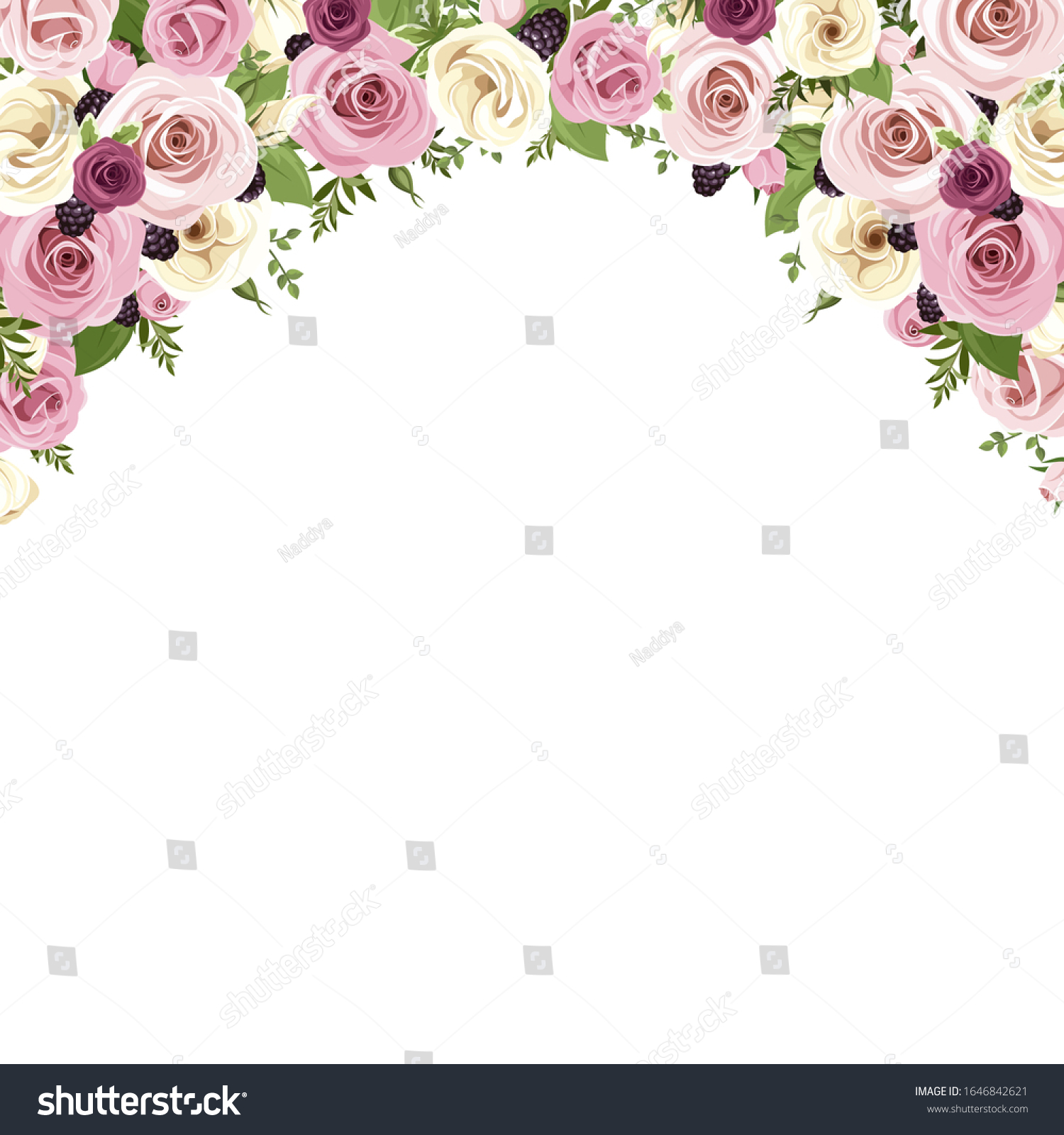 Vector Background Border Pink White Roses Stock Vector (Royalty Free ...