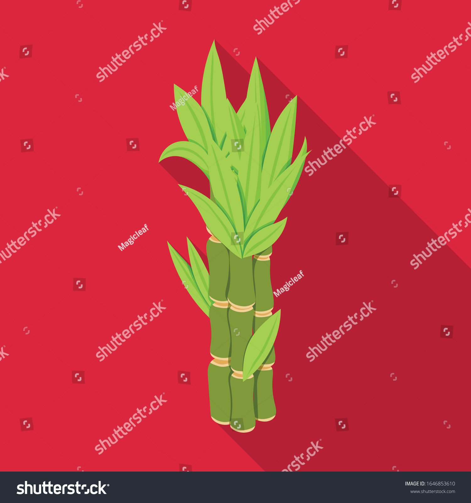 Stem Sugar Cane Vector Iconflat Vector Stock Vector Royalty Free 1646853610 Shutterstock 