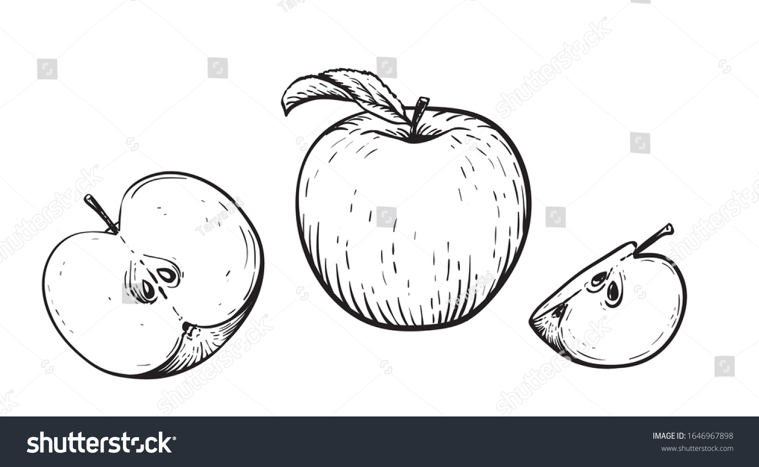Разрезанное яблоко рисунок