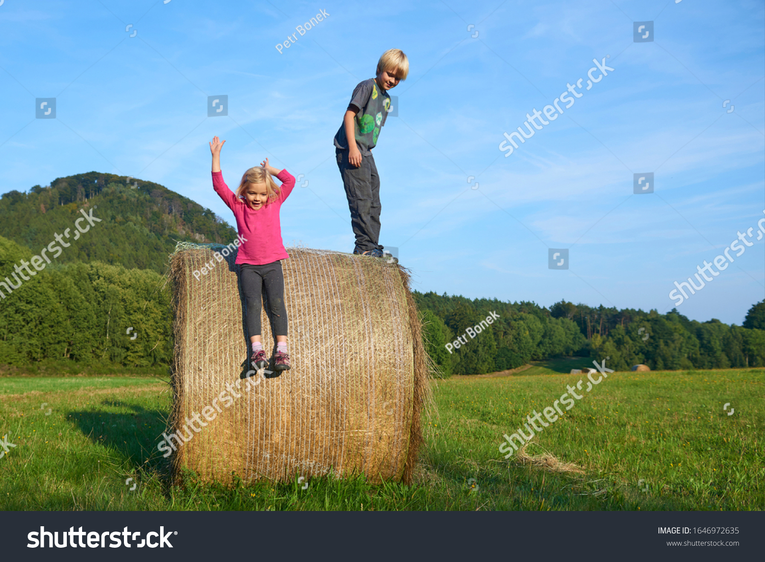 young-children-boy-girl-siblings-playing-stock-photo-1646972635