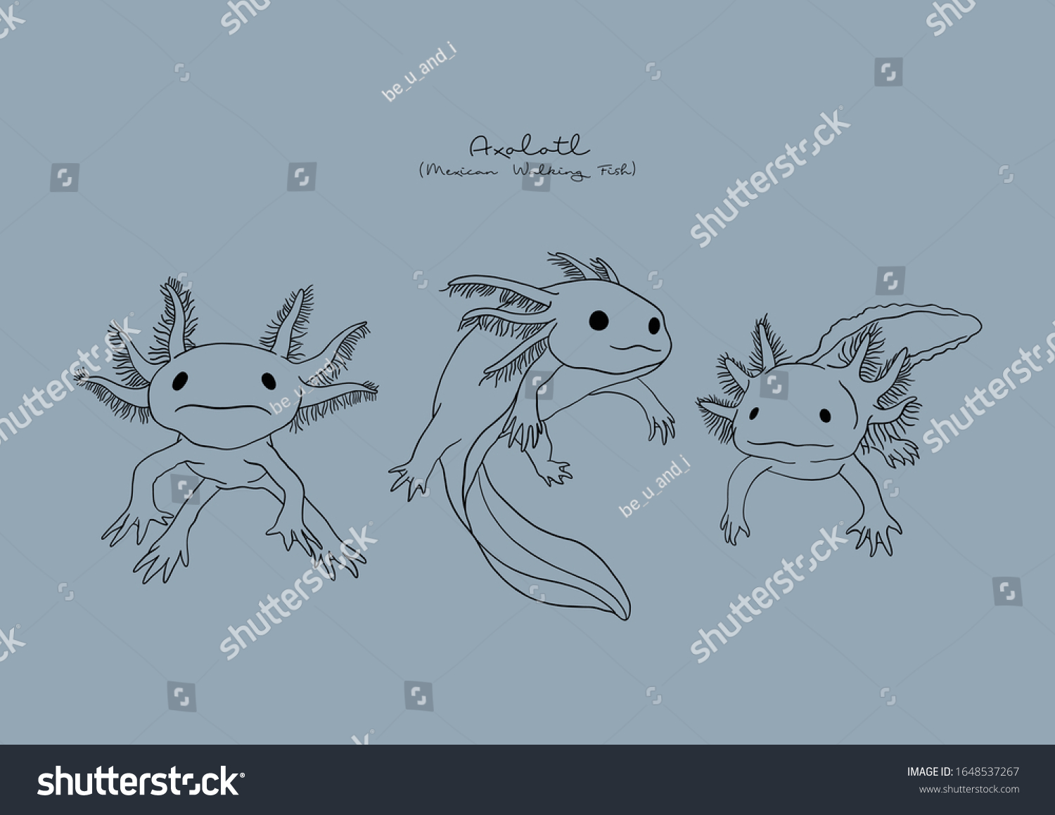 Axolotl стили dota 2 фото 104