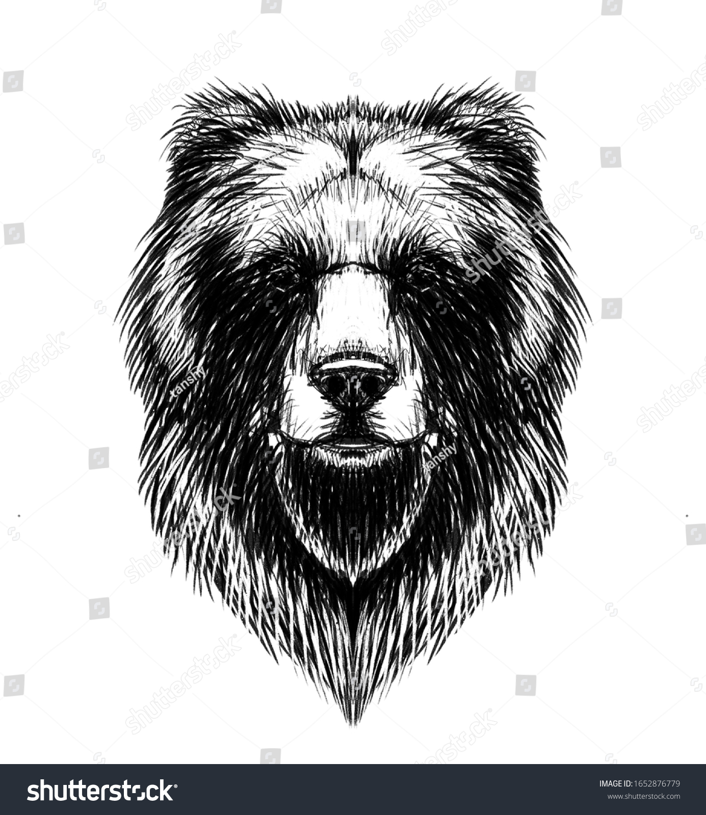 Bear 2007 avatar