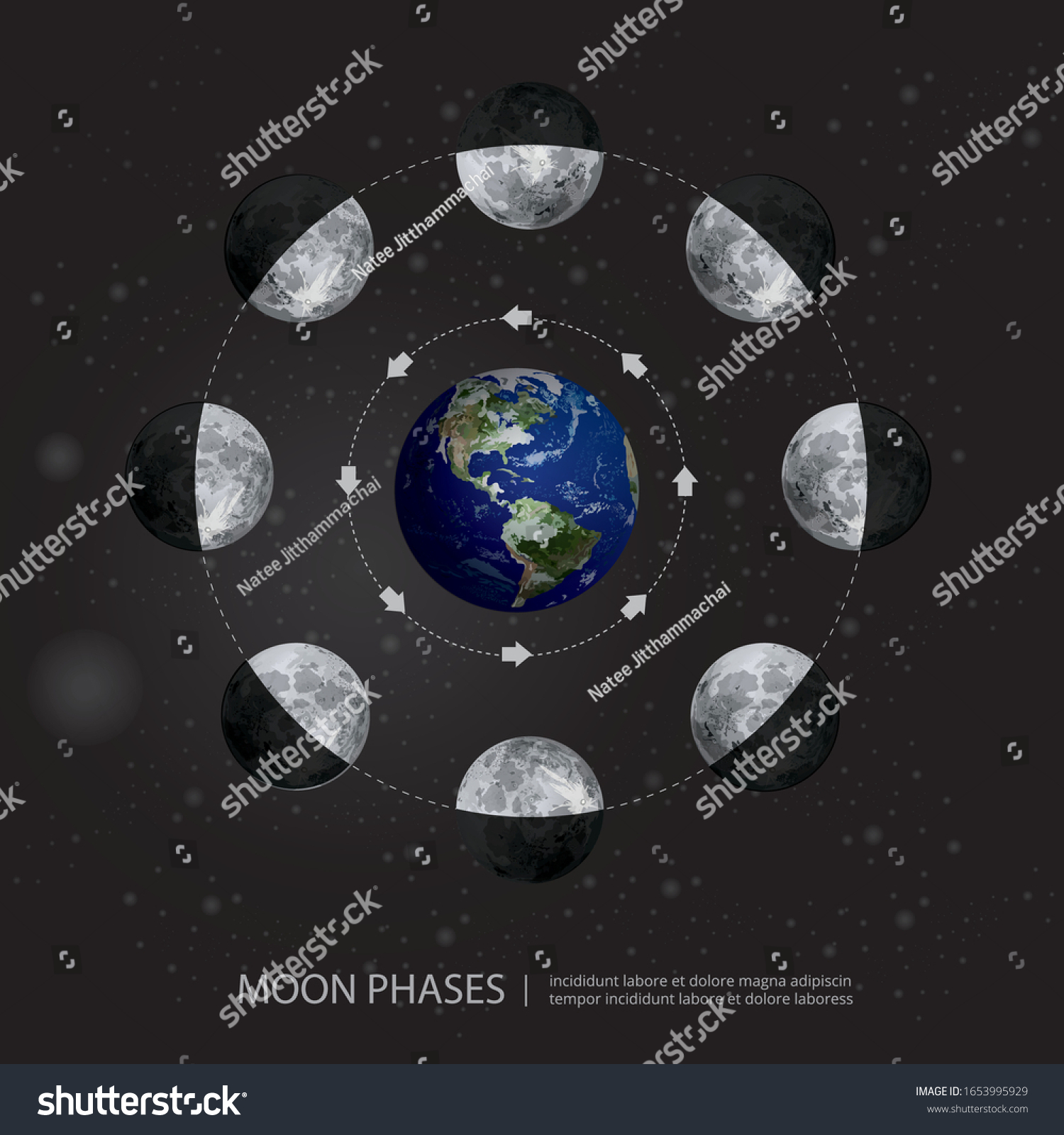 Movements Moon Phases Realistic Vector Illustration Stock Vector ...