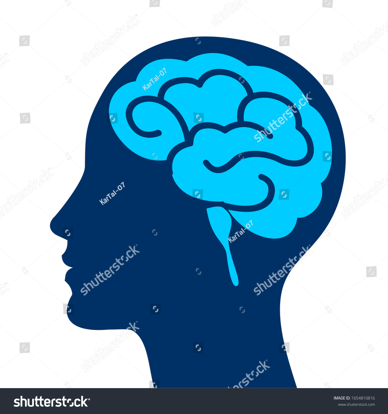 Human Head Profile Brain Illustration Stock Vector (Royalty Free ...