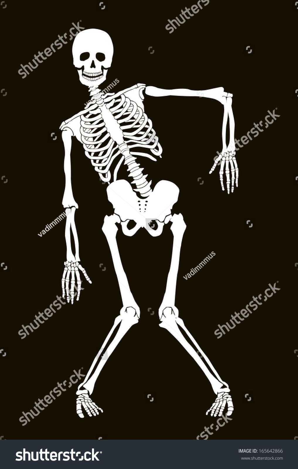 Funny Vector Skeleton Isolated Over Black Stock Vector (Royalty Free ...