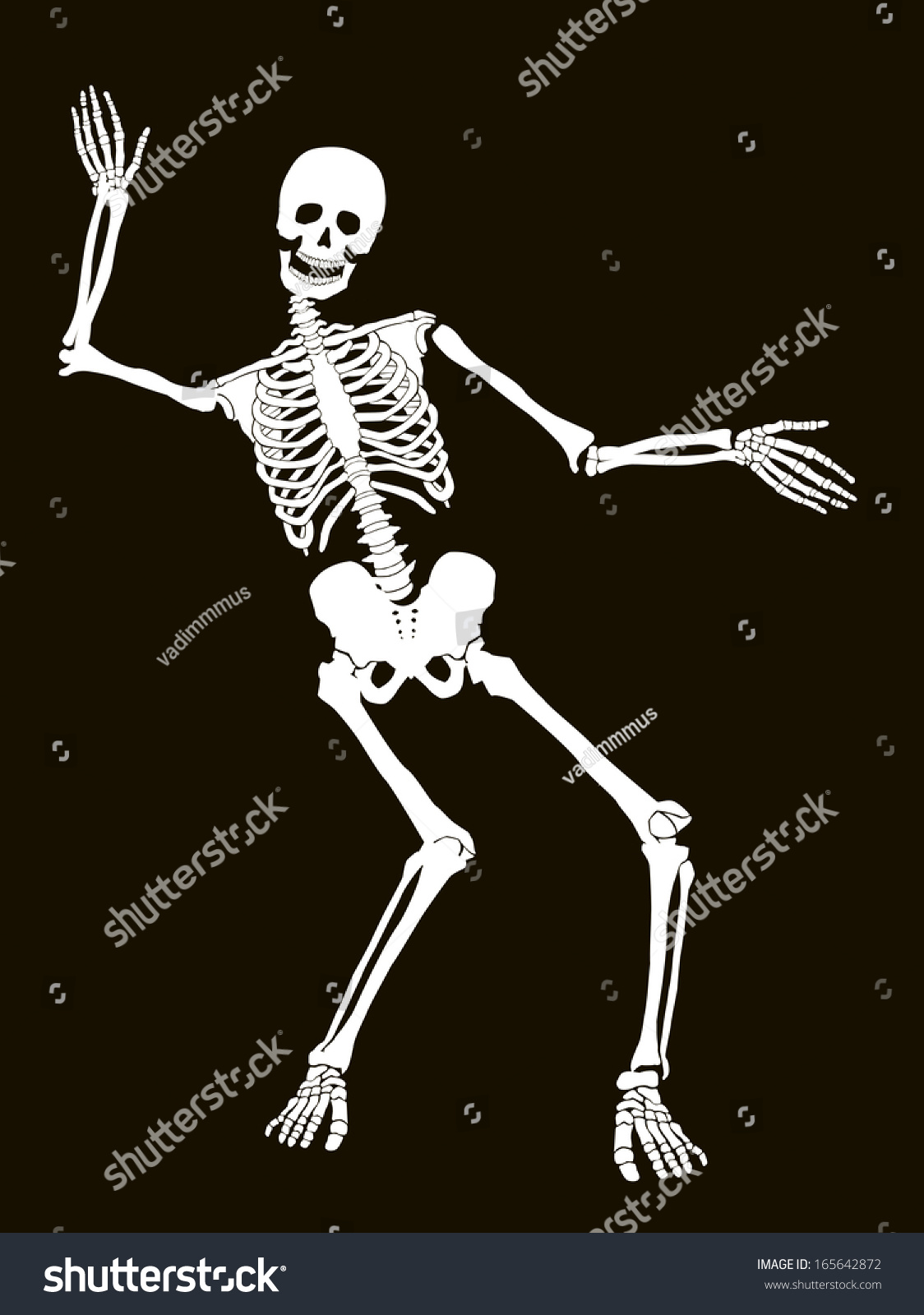 Funny Vector Skeleton Isolated Over Black Stock Vector (Royalty Free ...