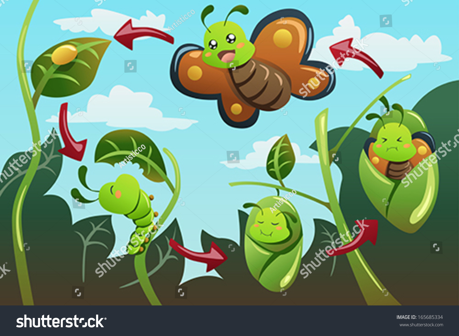 Vector Illustration Life Cycle Butterfly Stock Vector (Royalty Free ...