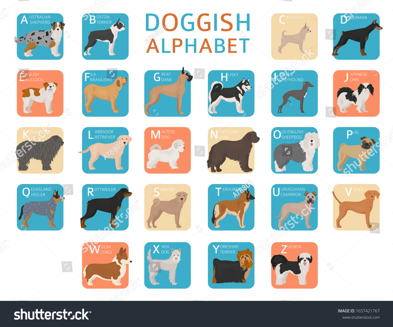 Doggish Alphabet Dog Lovers Letters Alphabet Stock Vector (Royalty Free ...