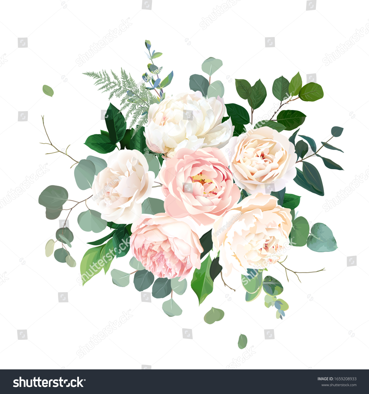 Dusty Pink Blush White Creamy Rose Stock Vector (Royalty Free ...