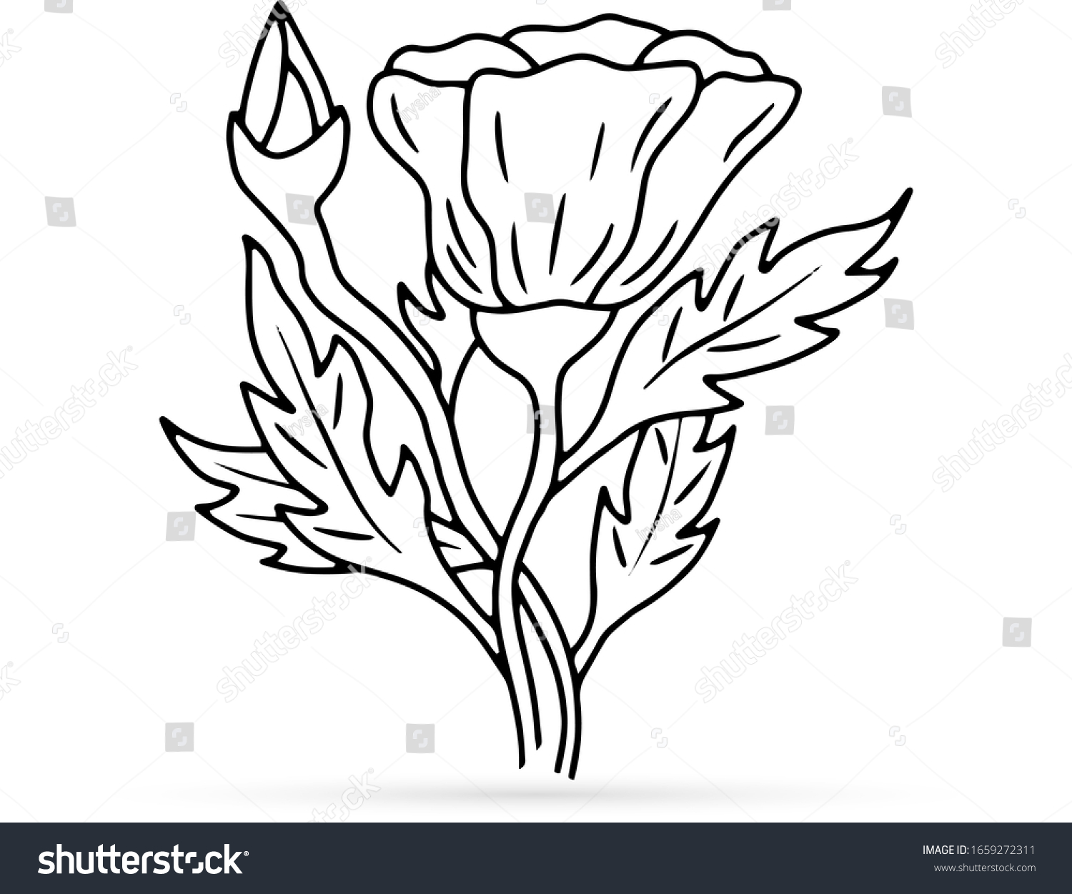 Coloring Doodle Poppy Leaf Outline Kids Stock Vector (Royalty Free ...