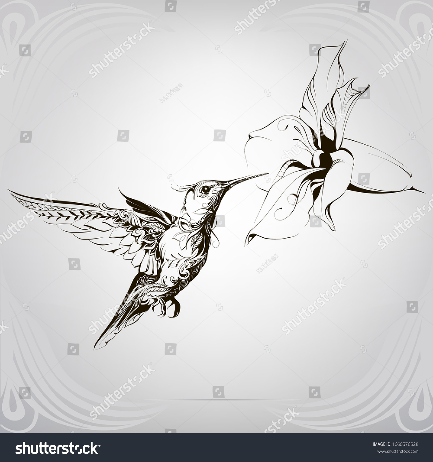 Hummingbird Floral Ornament Stock Vector (Royalty Free) 1660576528 ...