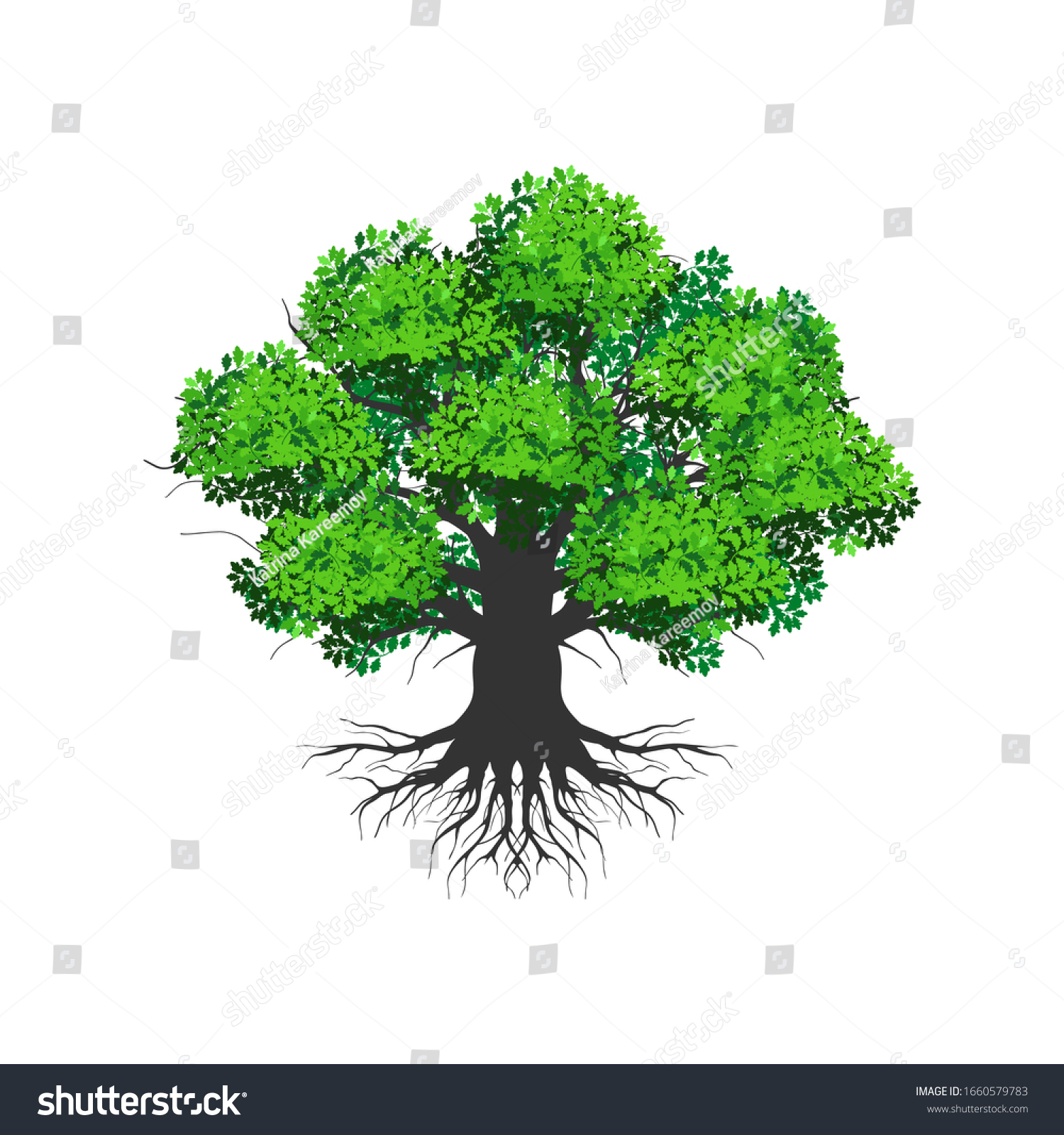 Olive Tree Logo Giant Tree Roots Stock Vector (Royalty Free) 1660579783 ...