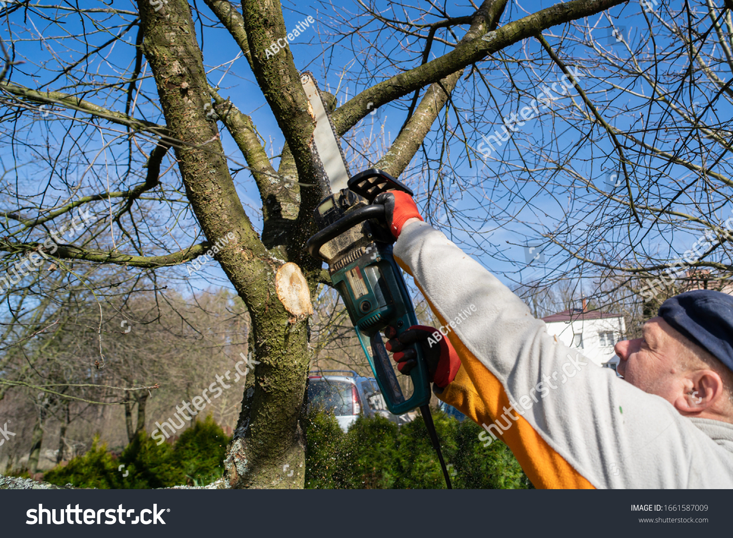 Садовый инструмент для обрезки деревьев