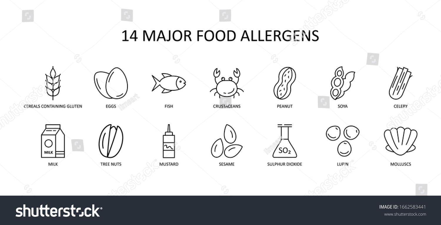 14 Major Food Allergens Icon Vector Stock Vector (Royalty Free ...