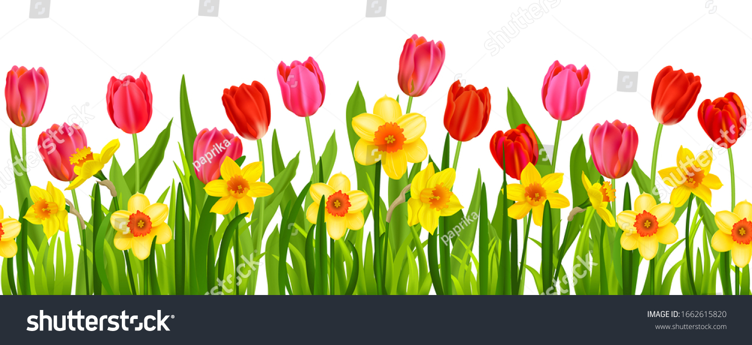 Beautiful Spring Floral Blossom Border Stock Vector (Royalty Free ...