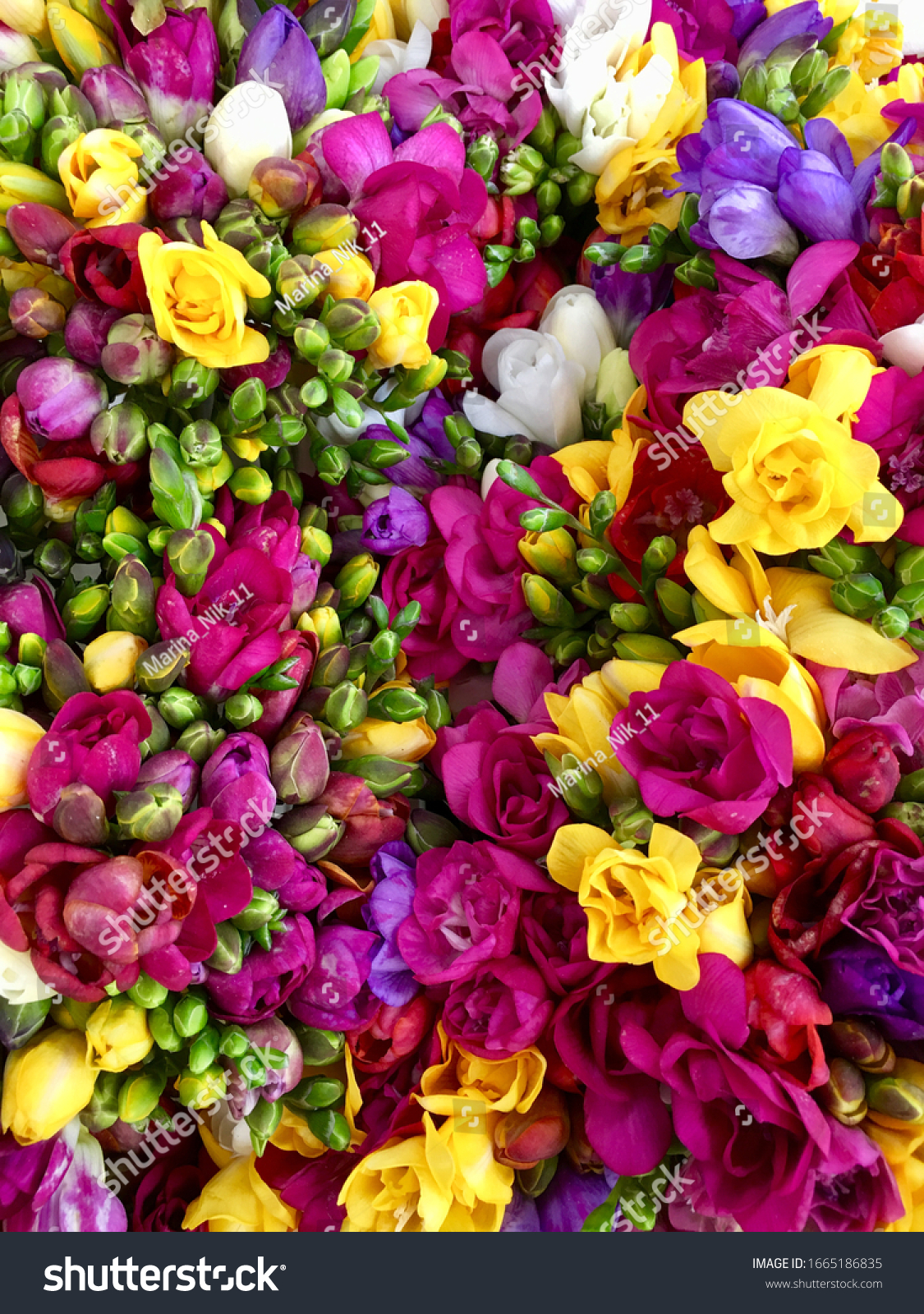 freesia flowers bouquet