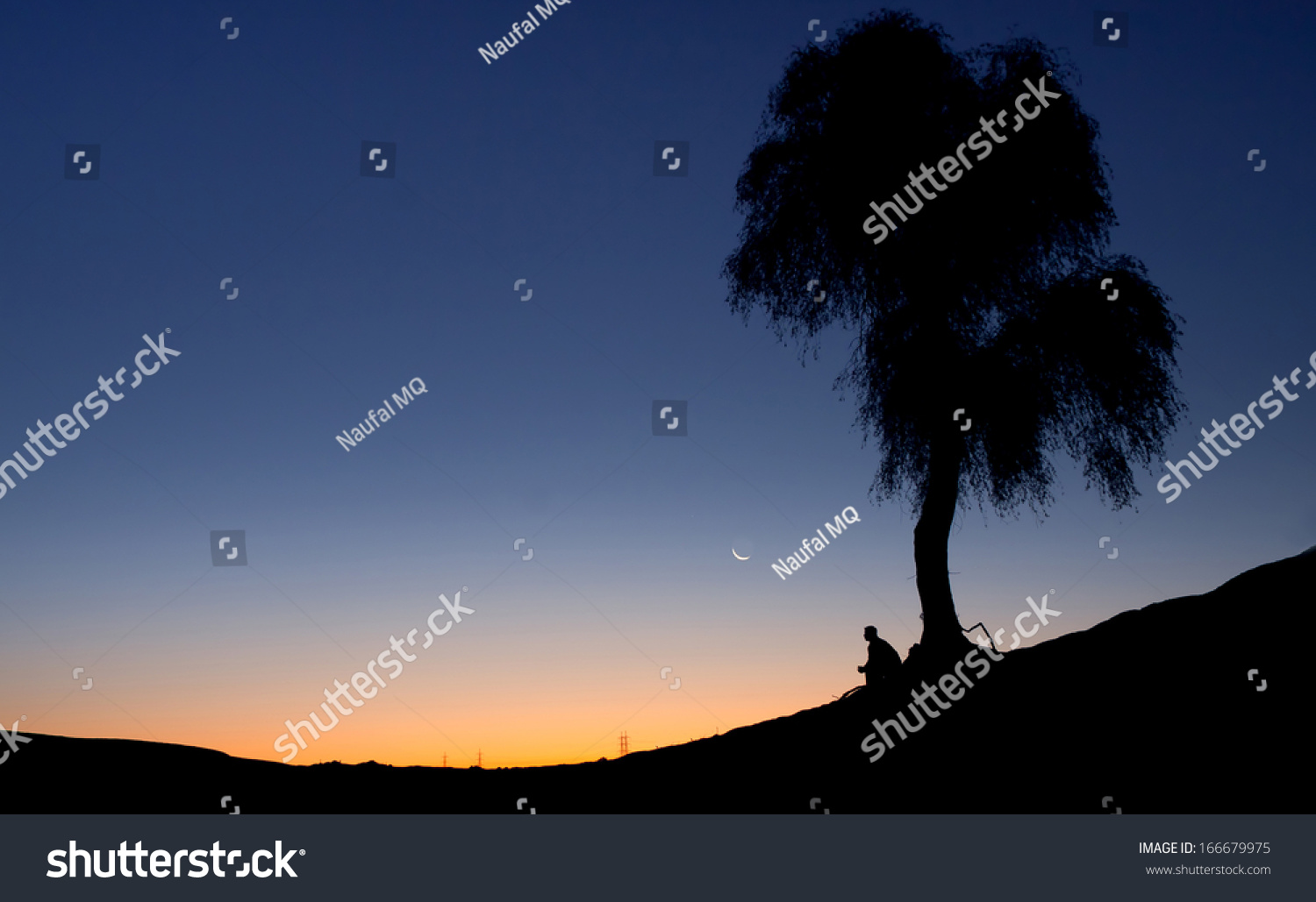 Silhouette Man Sitting Alone Under Tree Stock Photo 166679975