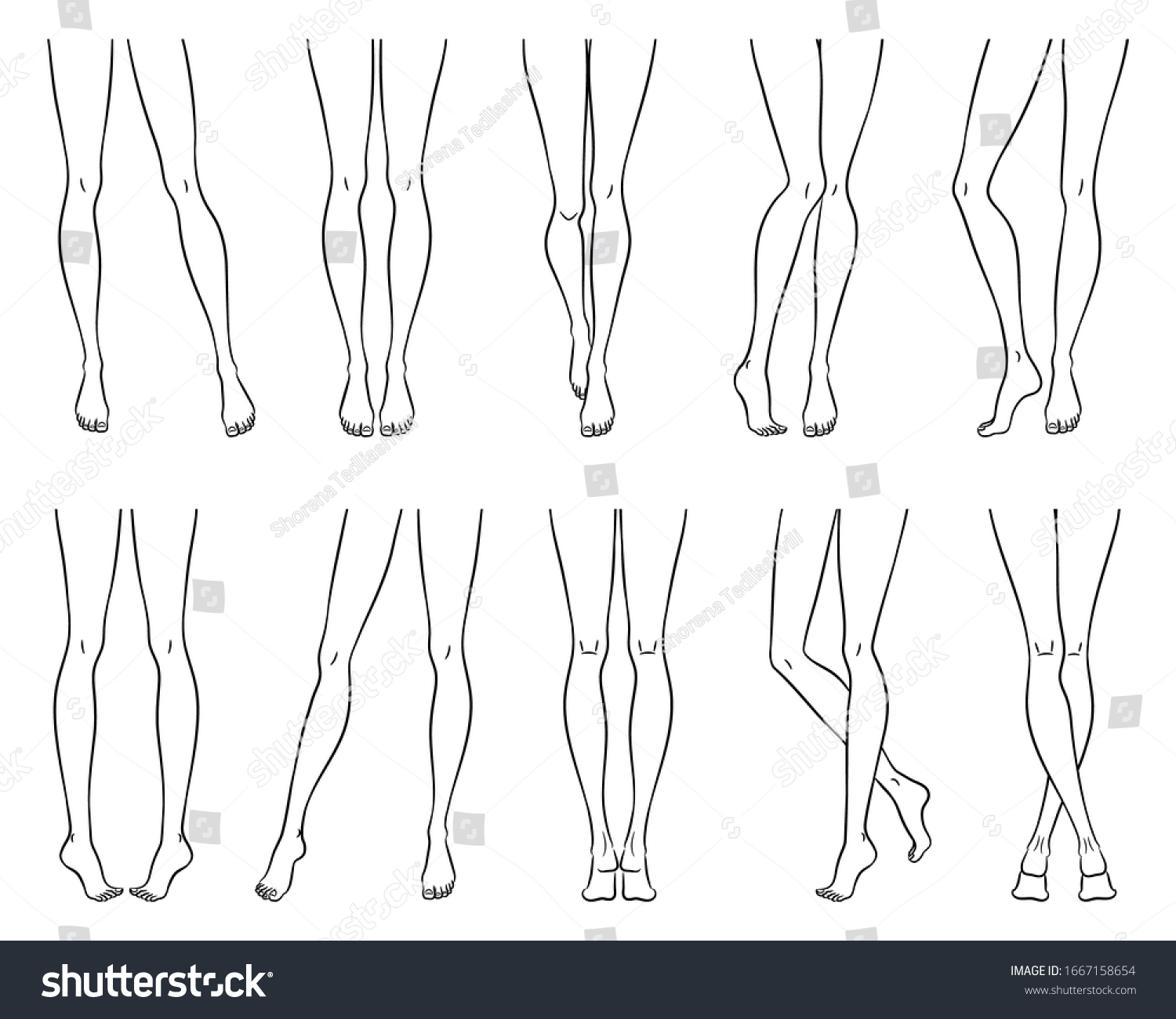 Beautiful Women Long Slim Legs Different Stock Vector (Royalty Free ...