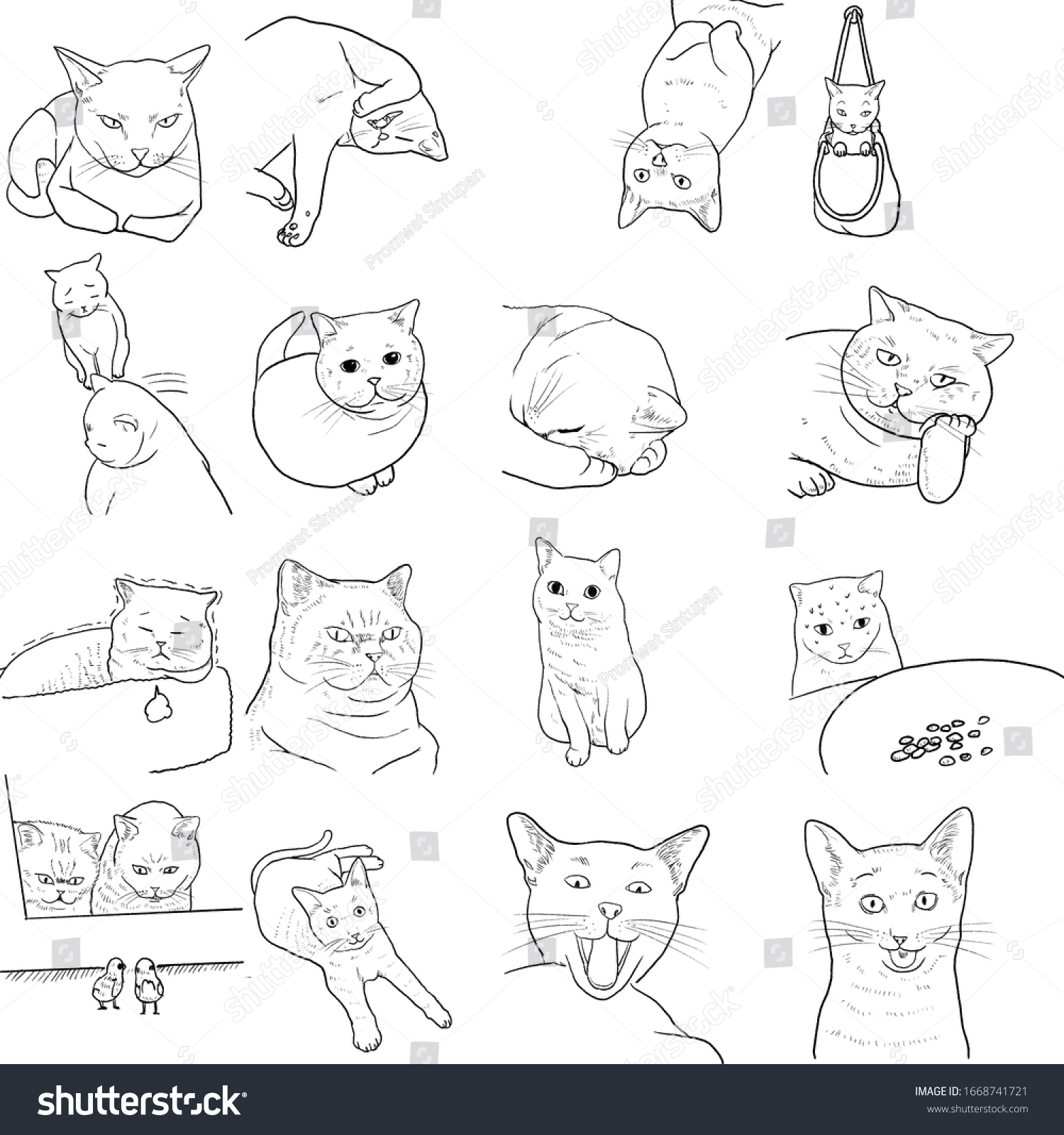 Illustration Character Design Outline Cute Catdraw Stock Illustration ...