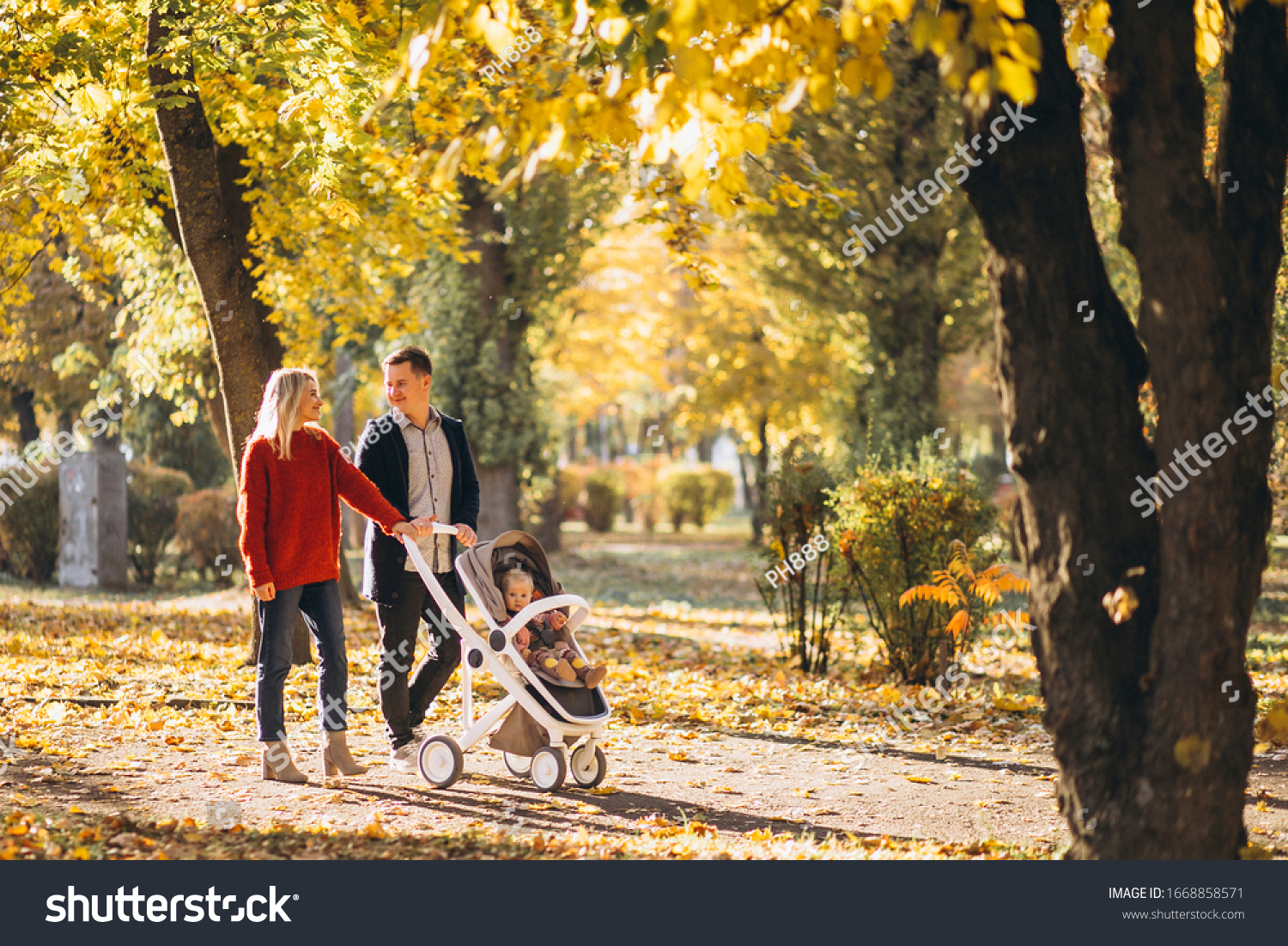 Семья в парке с коляской