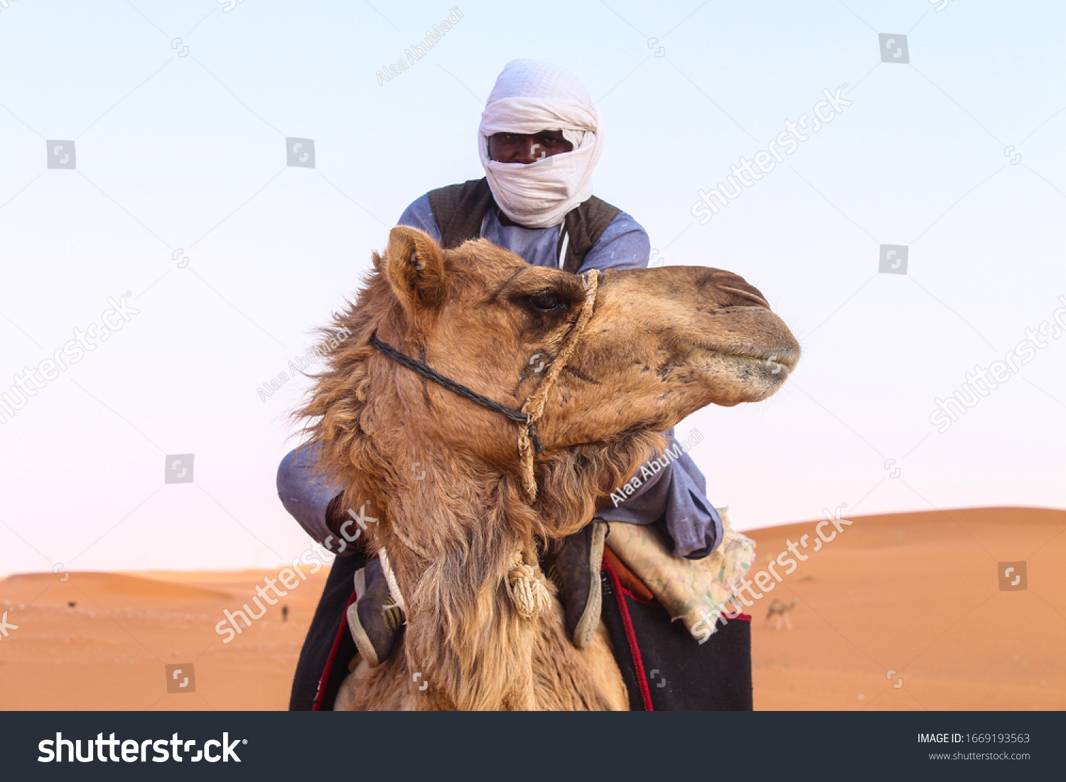 1,750件の「Camel shepherd」の画像、写真素材、ベクター画像 | Shutterstock