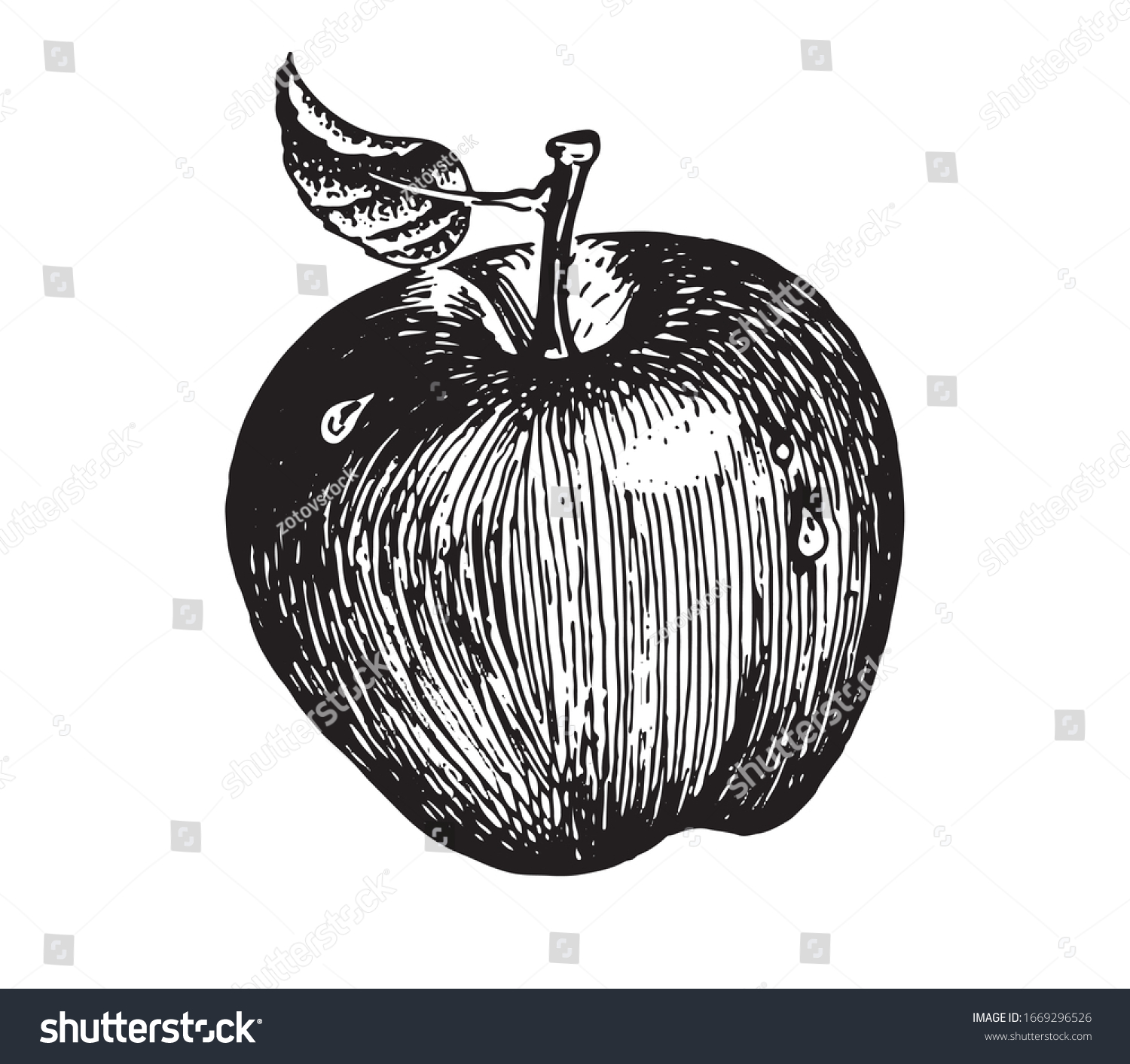 Apple Vector Images Vector Graphics Labels Stock Vector (Royalty Free ...