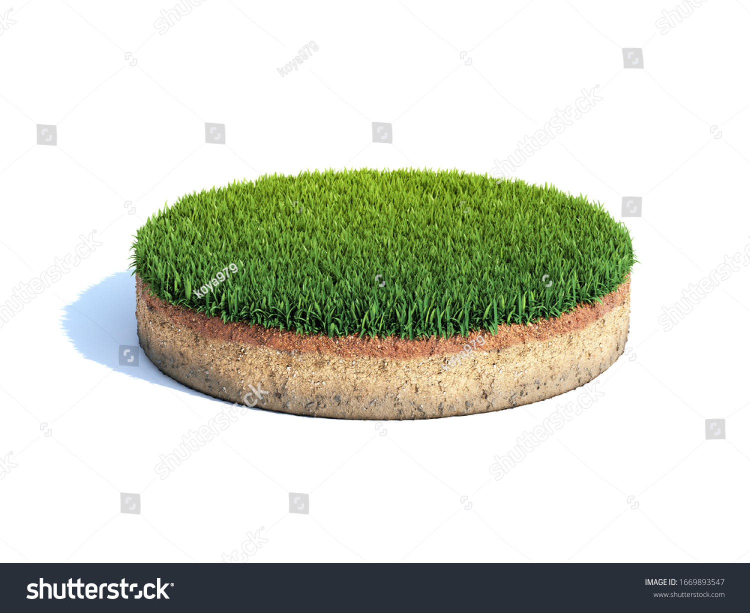 Cylindrical Cross Section Ground Grass Ecology Stock Illustration ...