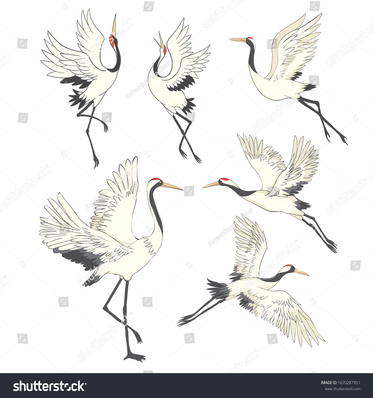 Crane Bird Set Illustration On White Stock Vector (Royalty Free ...