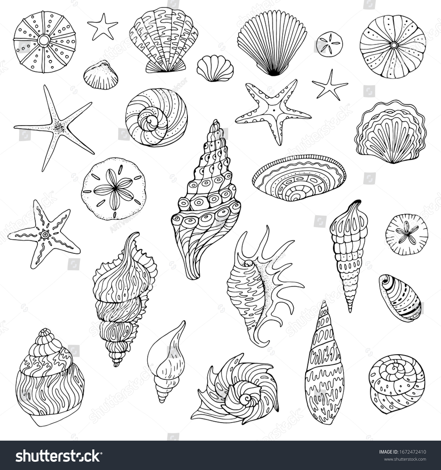 Large Set Hand Drawn Shells Stock Vector (Royalty Free) 1672472410 ...