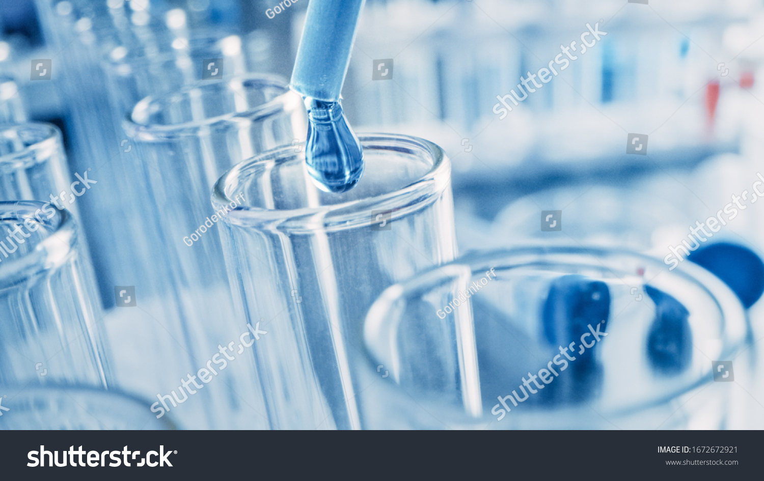 Scientific Laboratory Pipette Dropping Liquid Into Stock Photo ...