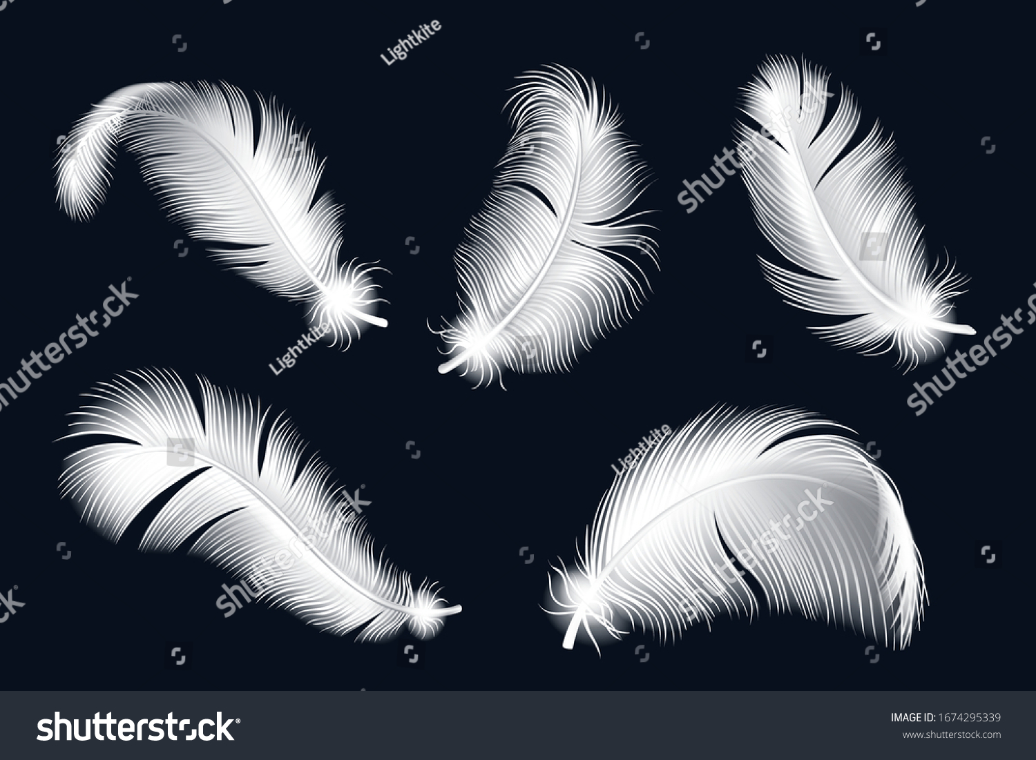 Isolated White Feathers Set Realistic Bird Stock Vector (Royalty Free ...