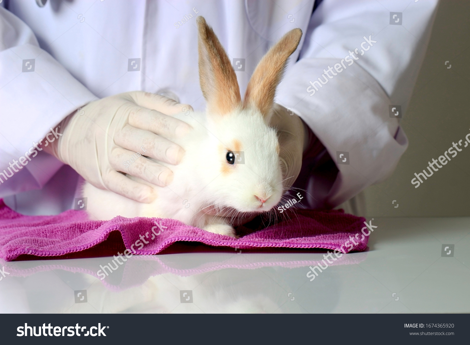 white bunny gloves