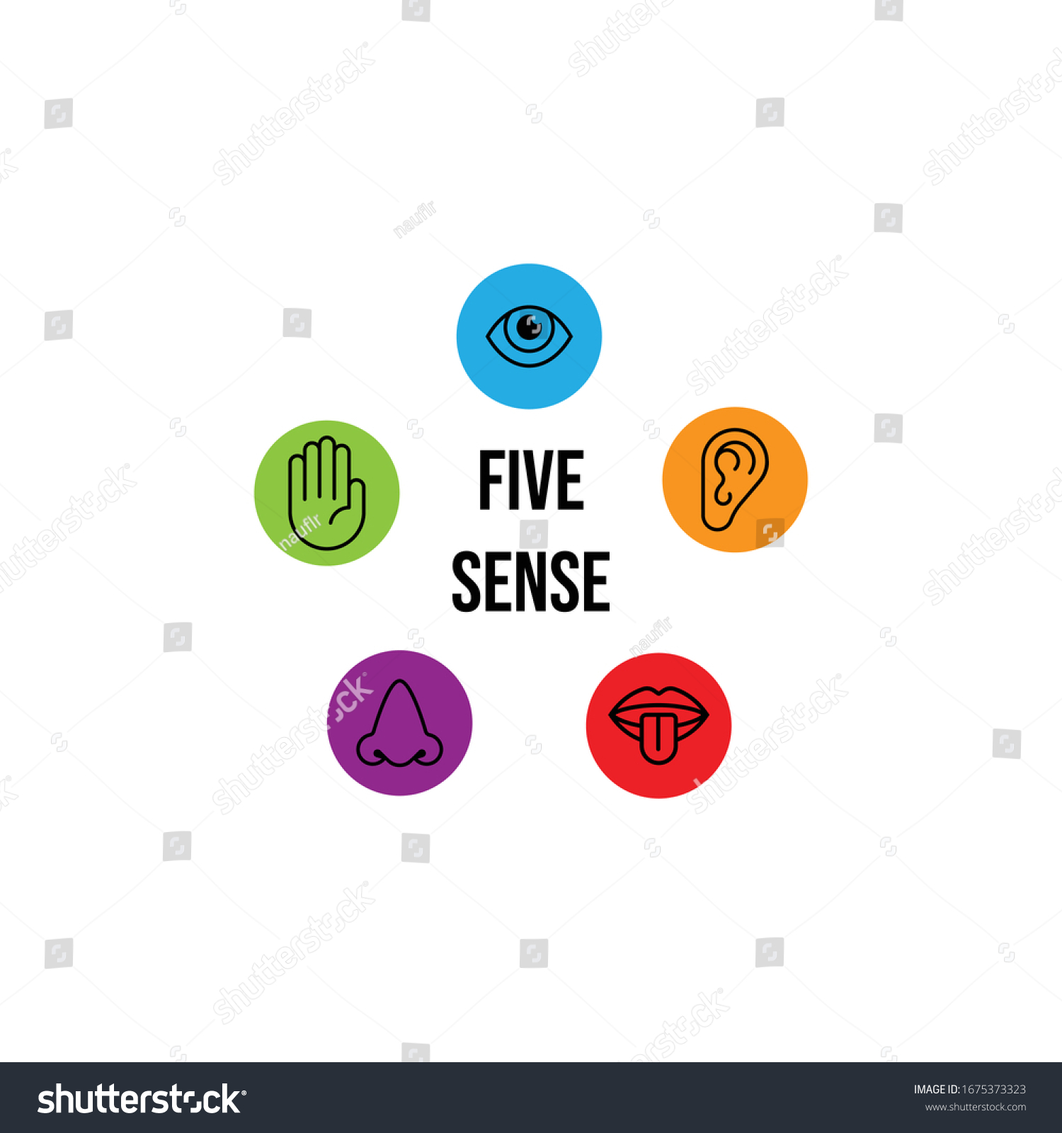 Five Sense Logo Icon Vector Stock Vector (Royalty Free) 1675373323 ...