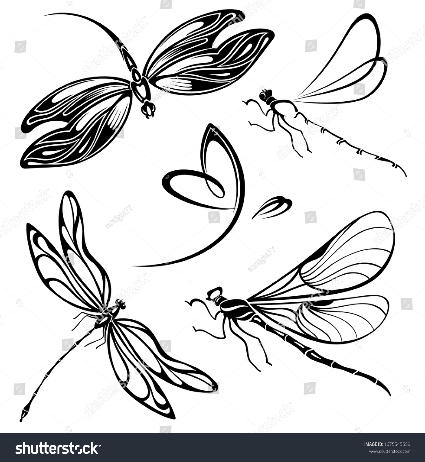 Watercolor Set Dragonfly Isolated Illustration Flying Stock Vector ...