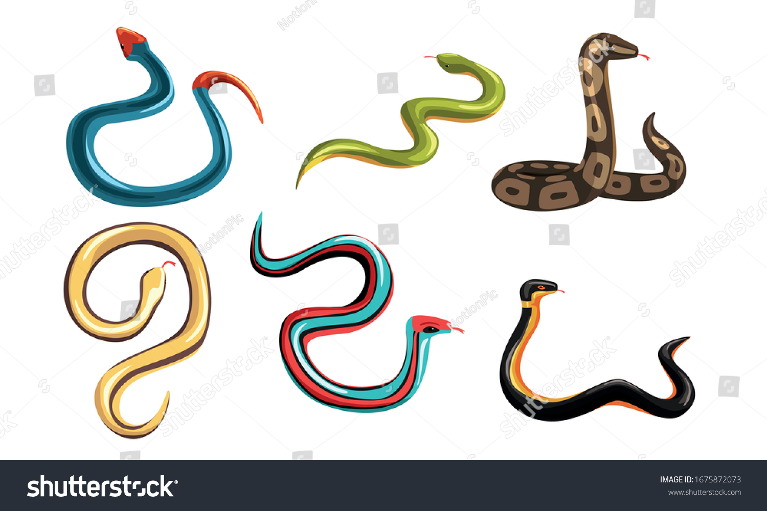 Collection Snakes Venomous Snake Creatures Different Stock Vector ...