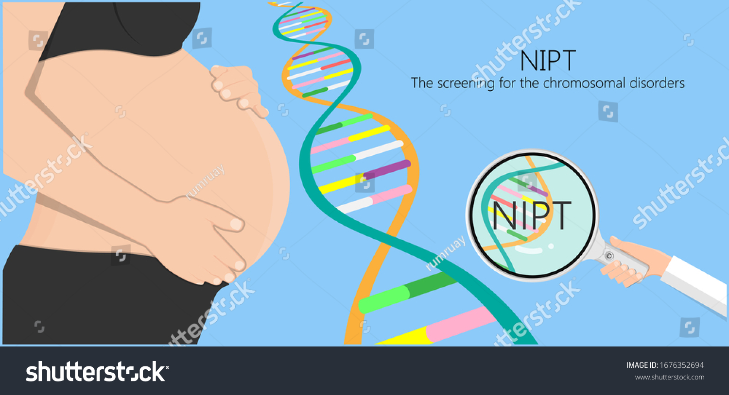 Noninvasive Prenatal Testing Nipt Screening Genetic Stock Vector Royalty Free 1676352694