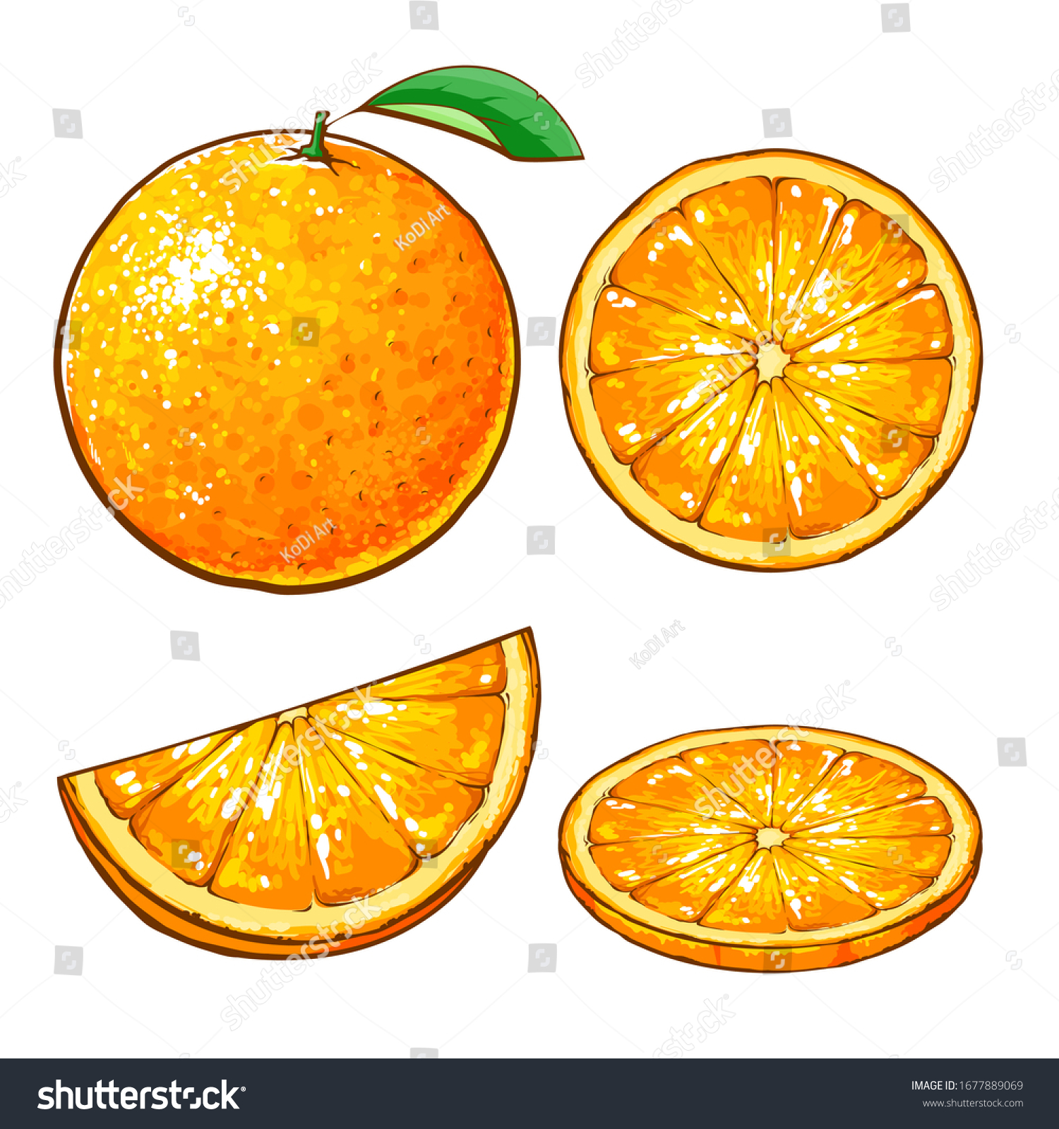 Vector Cartoon Illustration Set Orange Isolated Stock Vector (Royalty ...