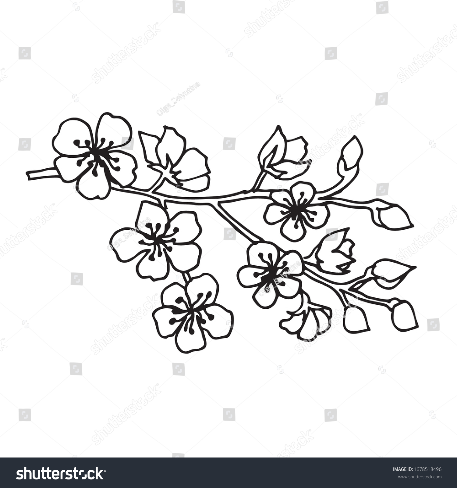 Cherry Blossom Branch Vector Illustration Isolated Stock Vector 