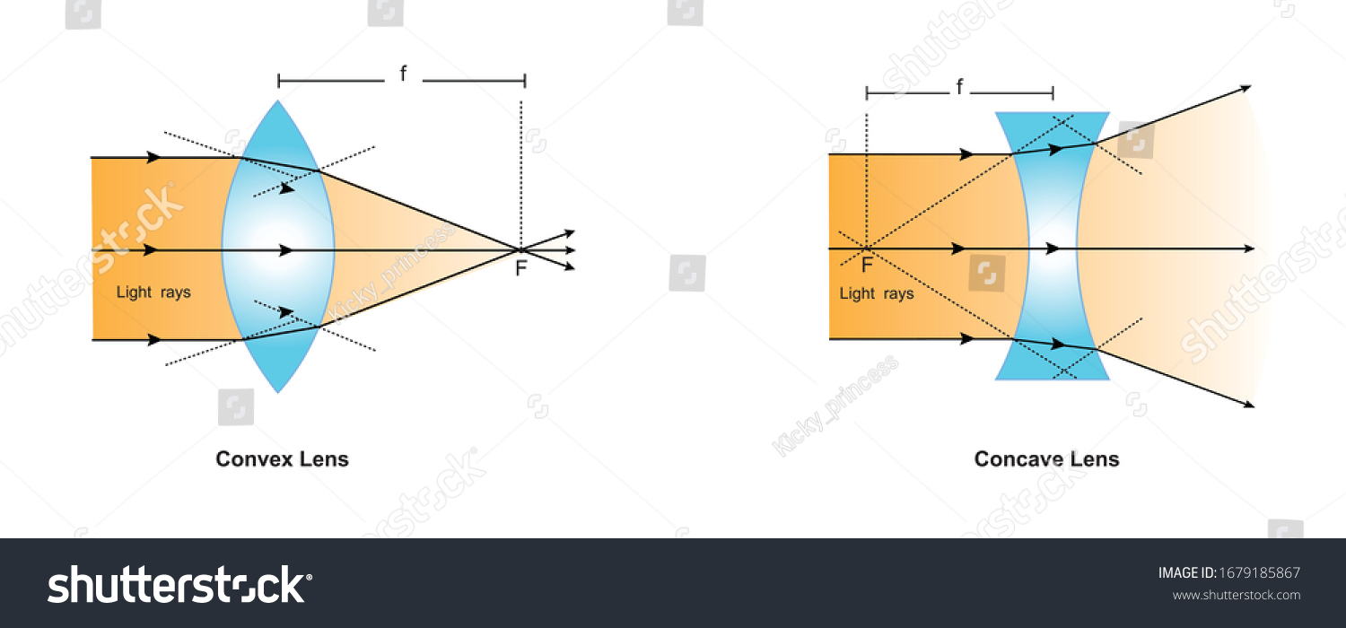 Convex Lens Converging Lens Focuses Light Stock Vector (Royalty Free ...