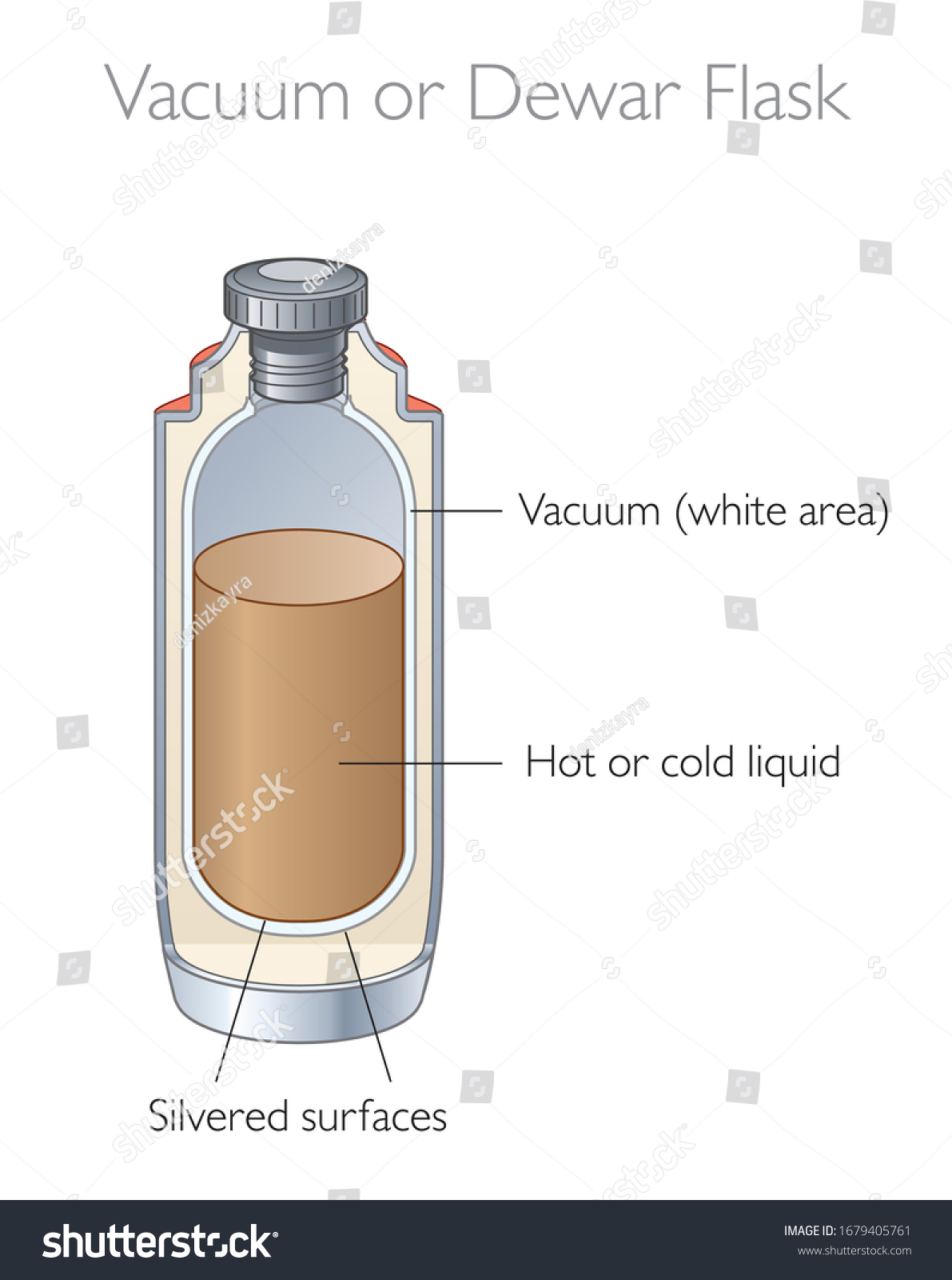 Vacuum flask, illustration - Stock Image - C050/7549 - Science Photo Library