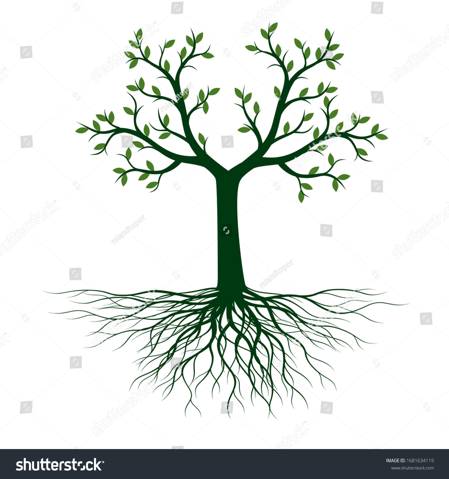 Green Tree Leaves Vector Outline Illustration Stock Vector (royalty 