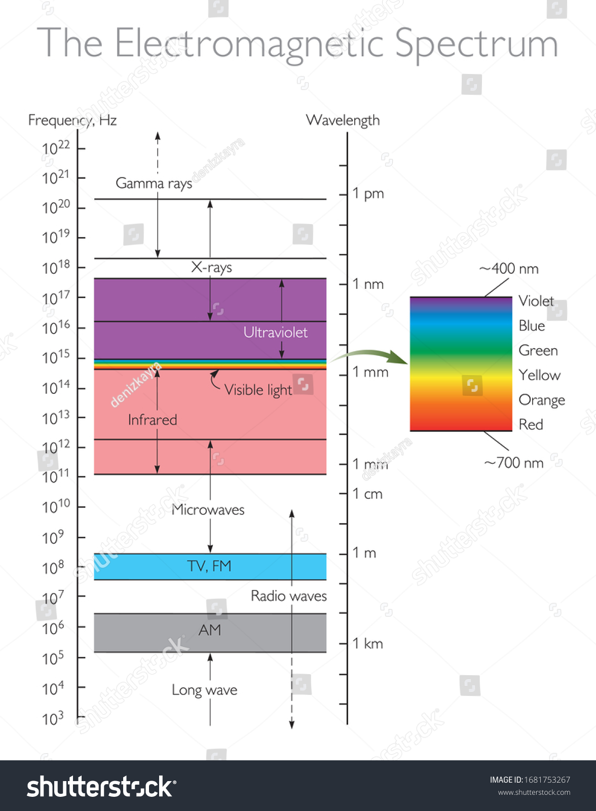 Electromagnetic Spectrum Physics Vector Illustration Stock Vector ...