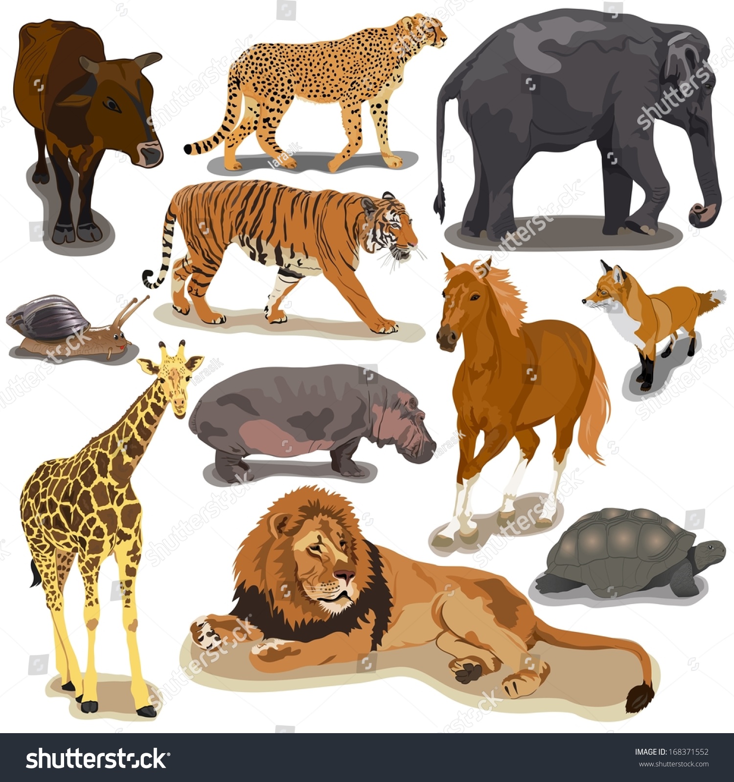 Set Animals On White Background Stock Vector (Royalty Free) 168371552 ...