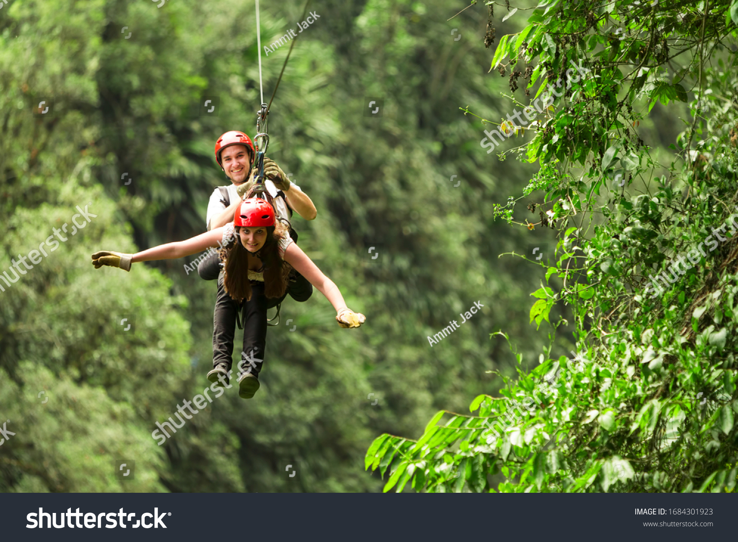 Soars Into Canopy Images Stock Photos Vectors Shutterstock