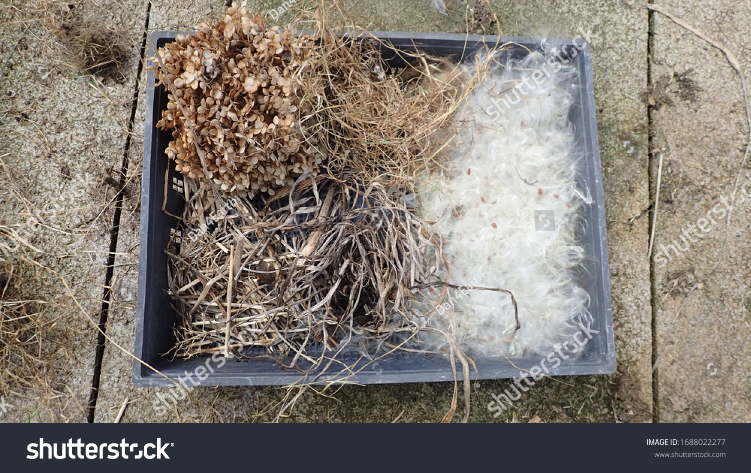 Diy Bird Nesting Material Dispenser Stock Photo 1688022277 Shutterstock