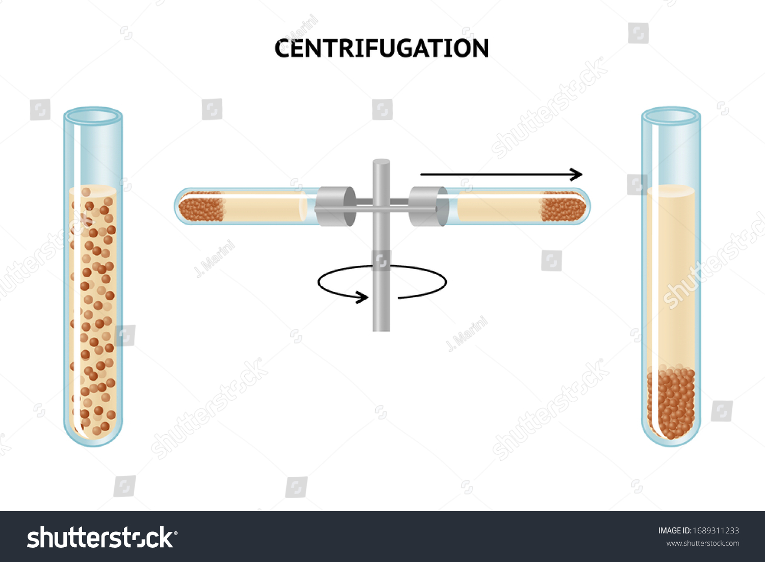 Супернатант