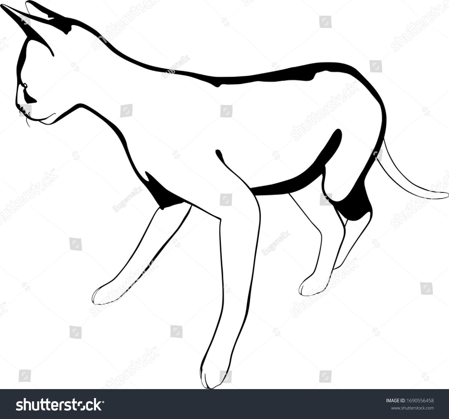 Cat Sketch On White Background Sphynx Stock Vector (Royalty Free ...