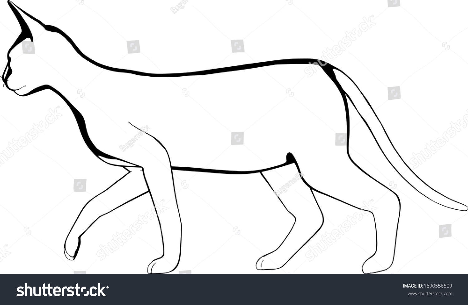 Cat Sketch On White Background Sphynx Stock Vector (Royalty Free ...