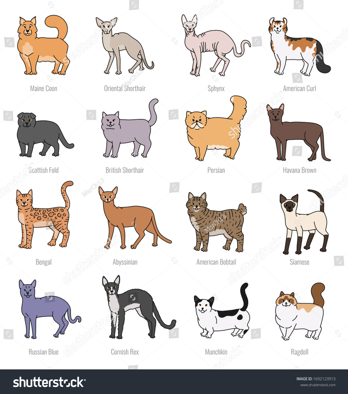 Cat Breeds Profile Vector Set Contour Stock Vector (Royalty Free ...