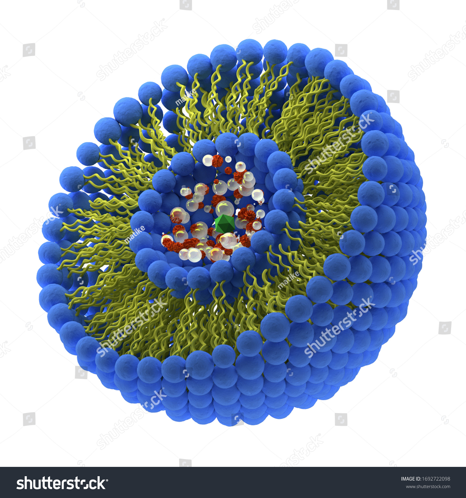 Structure Liposome 3d Render Illustration Stock Illustration 1692722098 ...